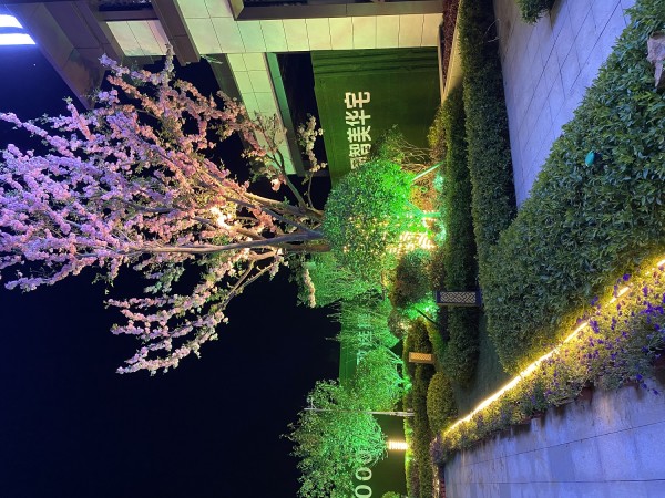 臨沂房源·金域樾府營銷中心園區(qū)亮化